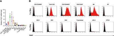 TIGIT-Fc as a Potential Therapeutic Agent for Fetomaternal Tolerance